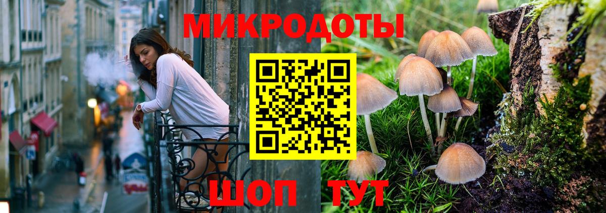 Шатура  даркнет сайт  Вход с VPN  Псилоцибиновые грибы Cubensis 